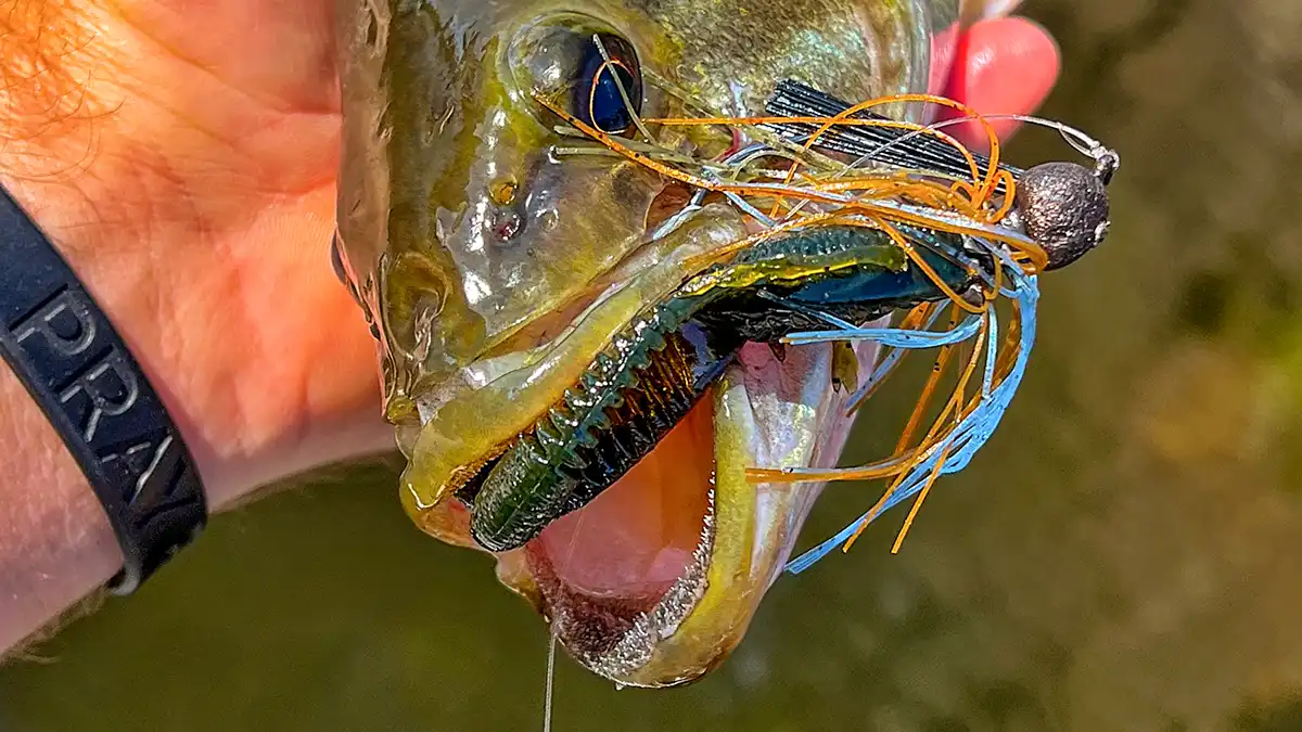 SPIDER BASS! Fishing a TOPWATER Spider Lure for BIG SMALLMOUTH 