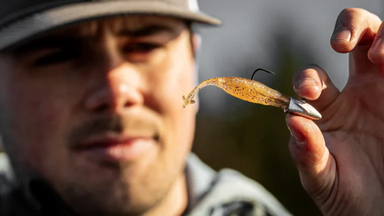 Catch Winter Bass with Dual-Purpose Minnow Plastics