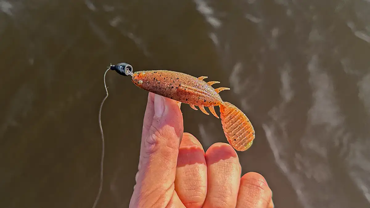 Keitech Paddlin' Beaver Review - Wired2Fish