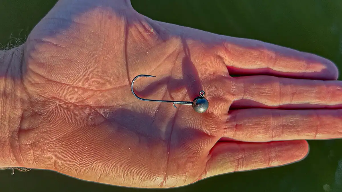 Queen Tackle Live Sonar Tungsten Jig Head Review - Wired2Fish