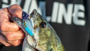 McClelland’s Blade Bait and Damiki Winter Bass System