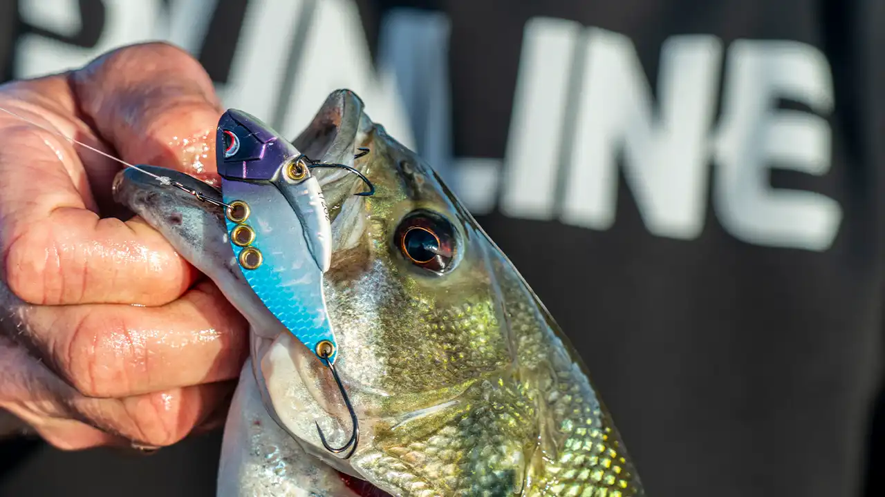How to Fish the Damiki Rig  Beginner to Advanced - Wired2Fish