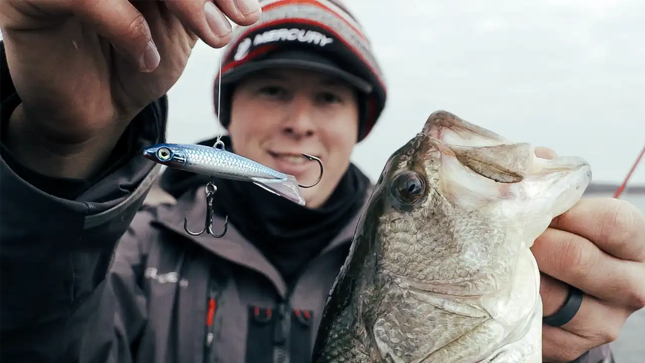 Enhanced Jigging Deep Water Bass with Cody Huff - Wired2Fish