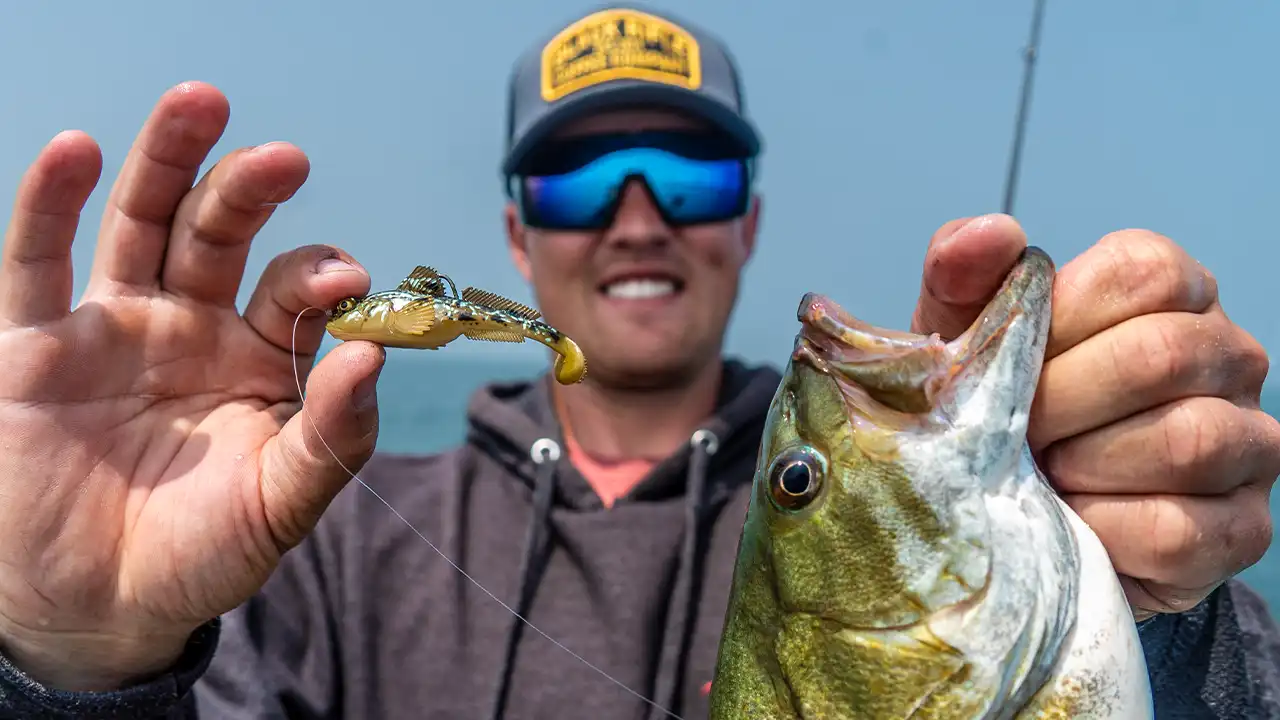 The Top Eight Sonar Minnows For Bass Fishing With Livescope - FishUSA