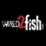 Wired2fish Editors
