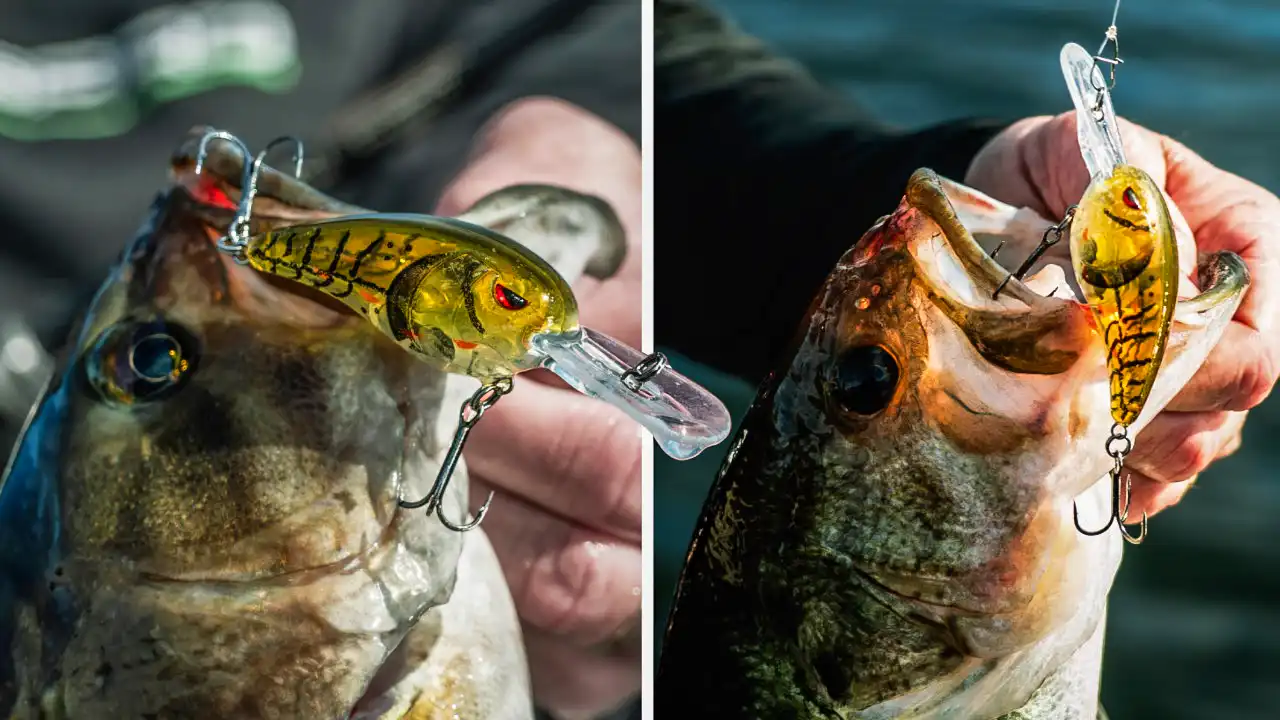 Power Cranking SPRO Rock Crawlers for Cold Water Bass - Wired2Fish