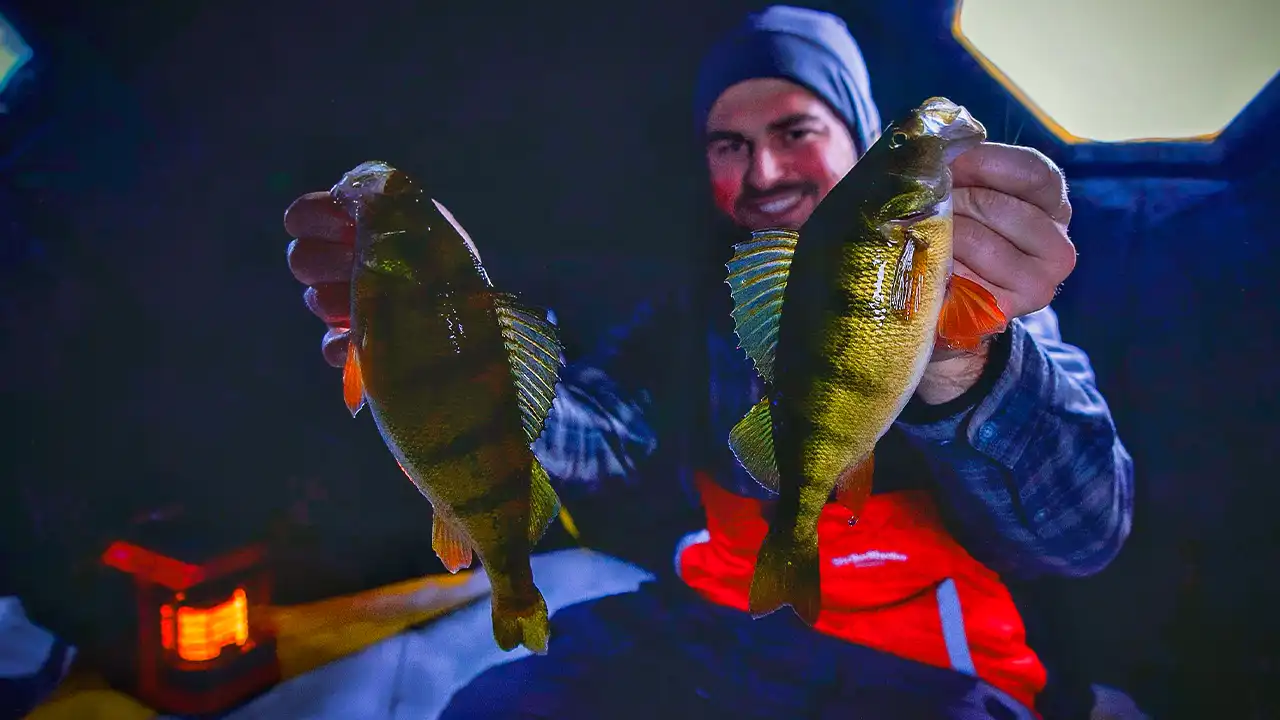 Best Ice Fishing Lures for Perch - Wired2Fish