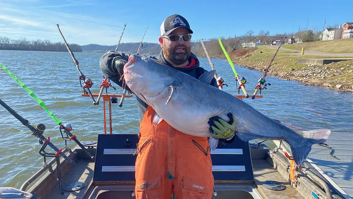 Record Breaking Catfish Sets New Standard in West Virginia - Wired2Fish