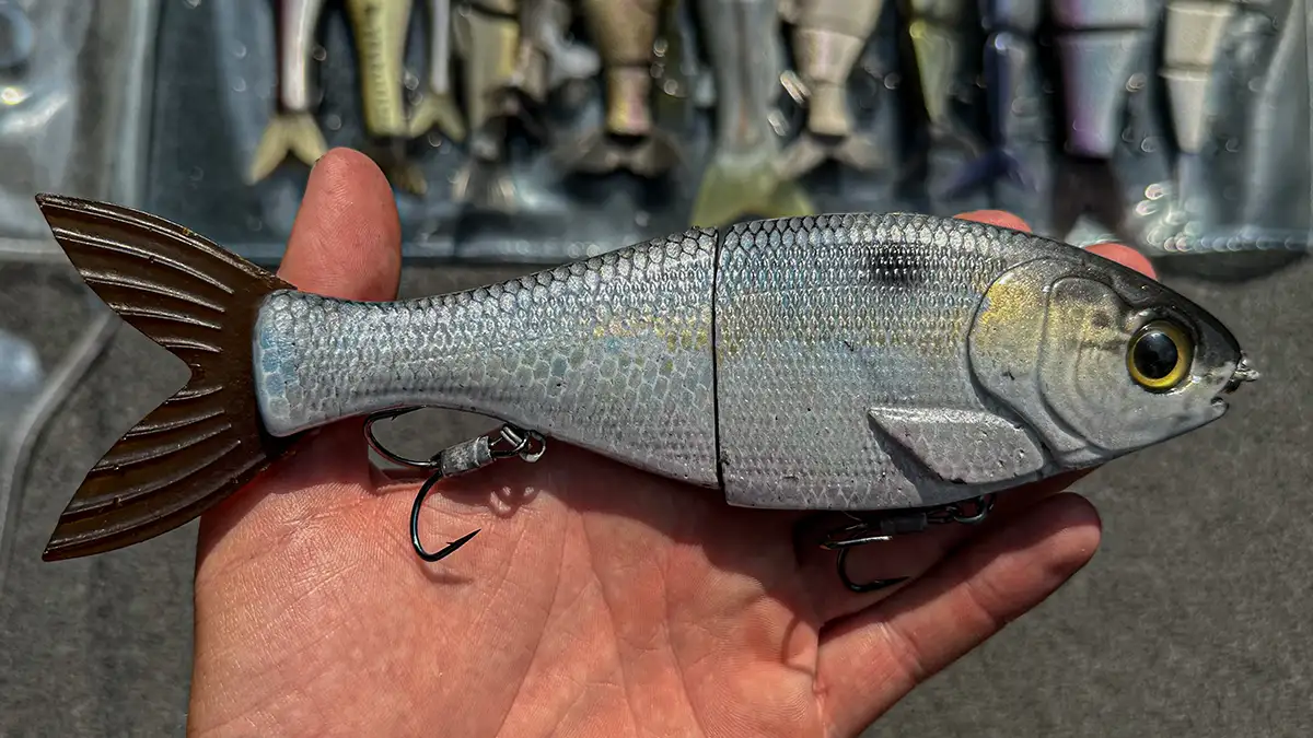 What I Learned Throwing a Glide Bait - Wired2Fish