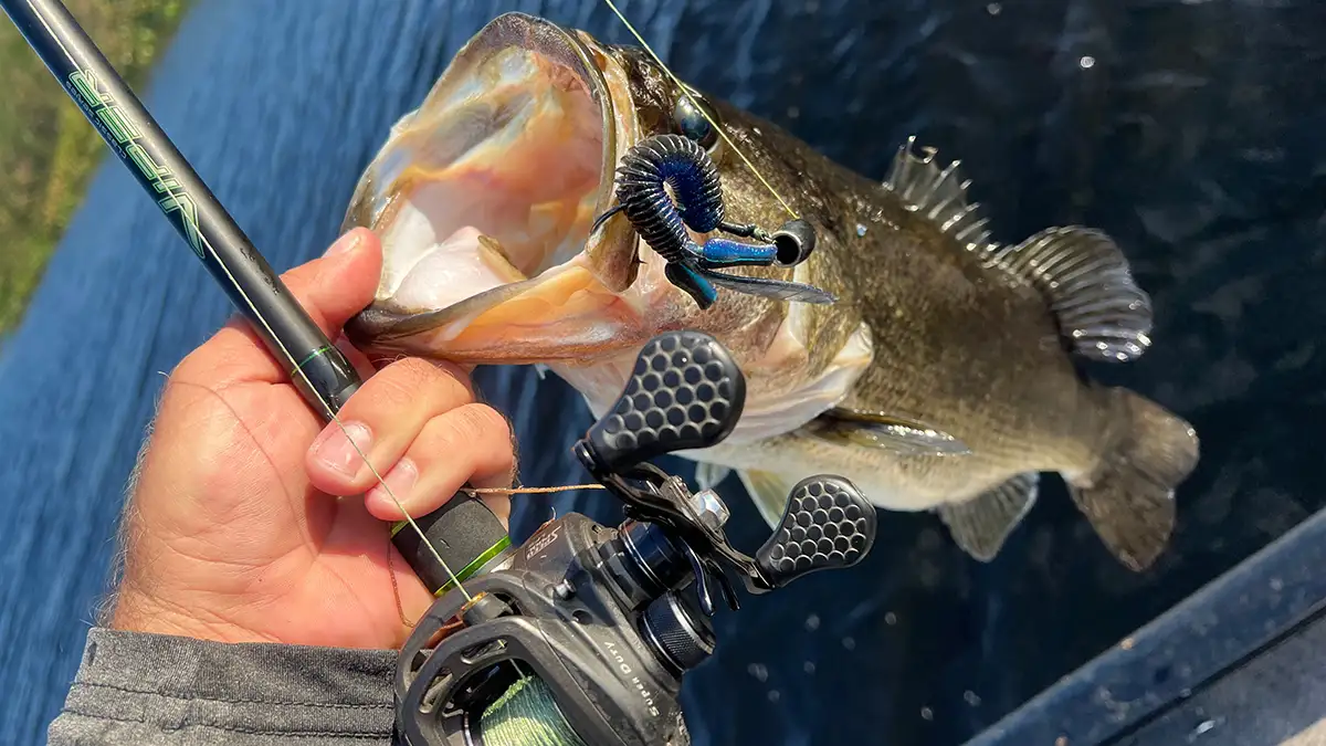 My Favorite Fishing Gear from the Past Year - Wired2Fish