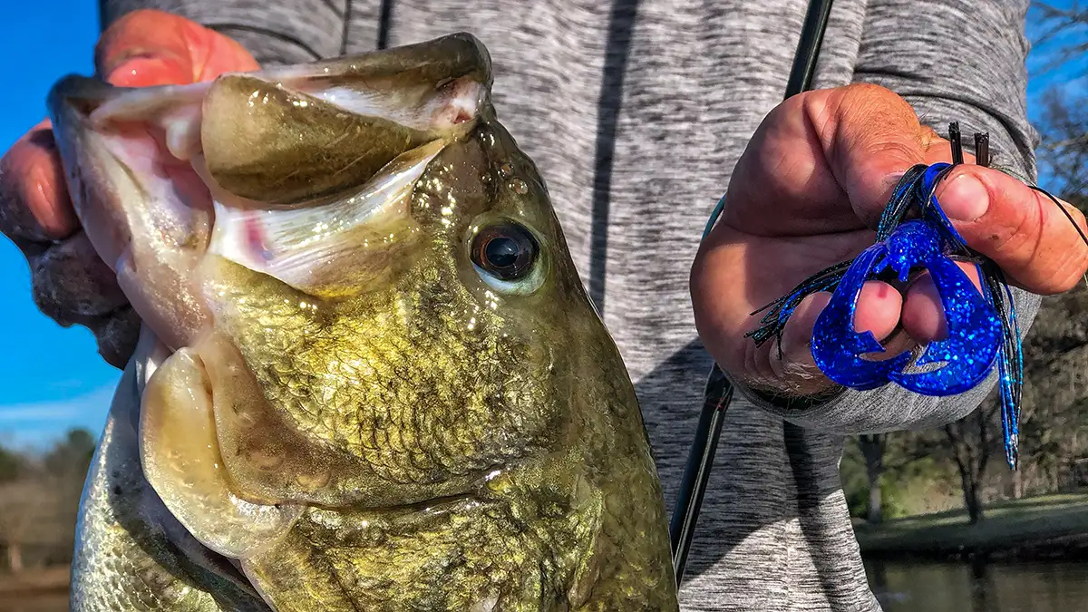 Best Crawfish Lures for 2024 - Wired2Fish