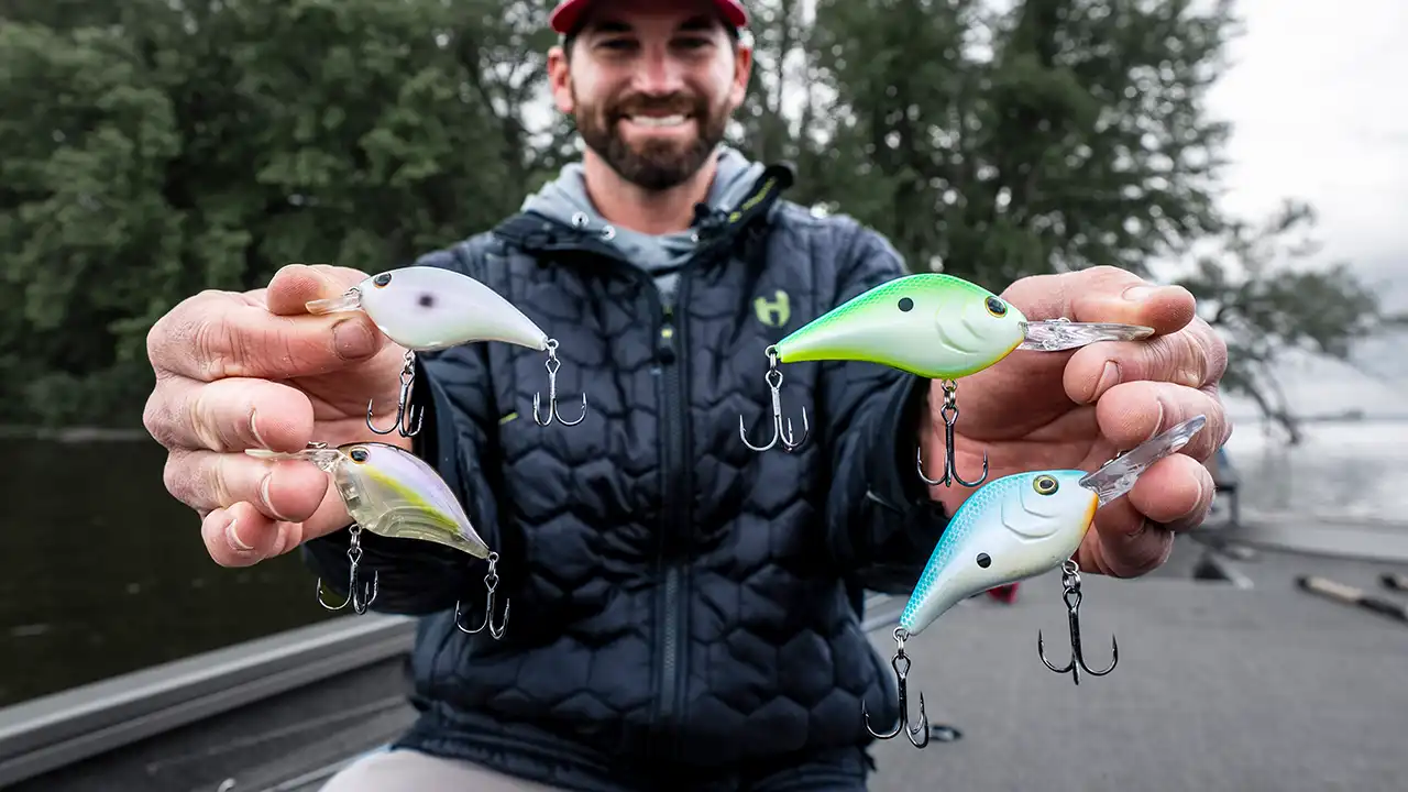 Catch More Summertime Bass with Crankbaits – Fish Ed 