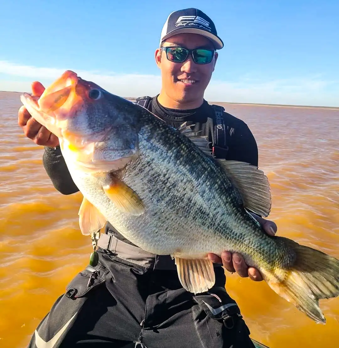 First 13-Pound ShareLunker for 2024 Caught - Wired2Fish