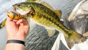 Use Velcro to Tame Various Fishing Tackle - Wired2Fish