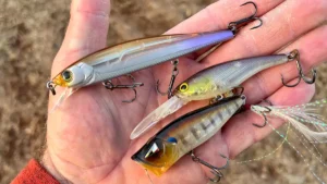 Understanding Weight Transfer Systems in Fishing Lures