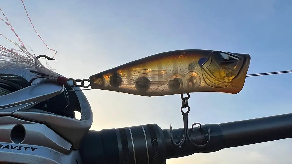 weight transfer system in topwater lures