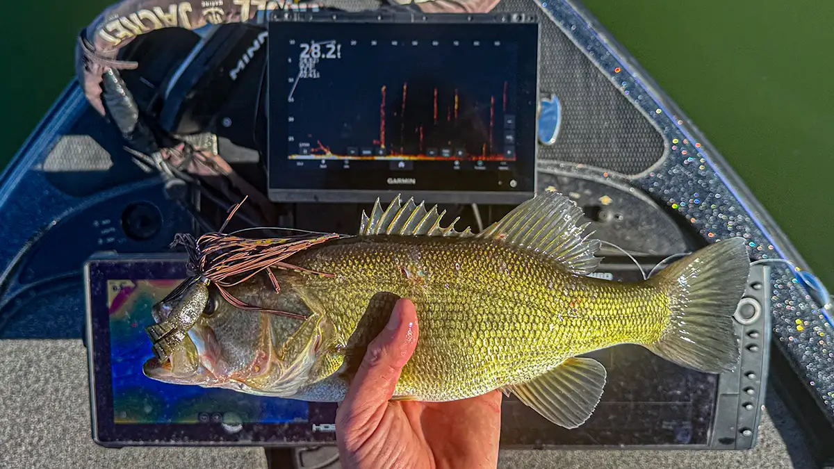 Advantages and Disadvantages of Forward Facing Sonar - Wired2Fish