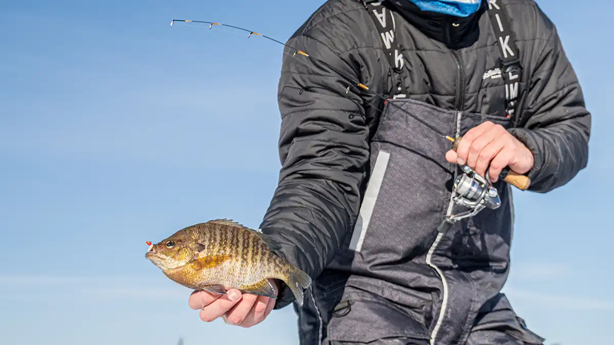 Why use a spinning reel for ice fishing… well, many reasons