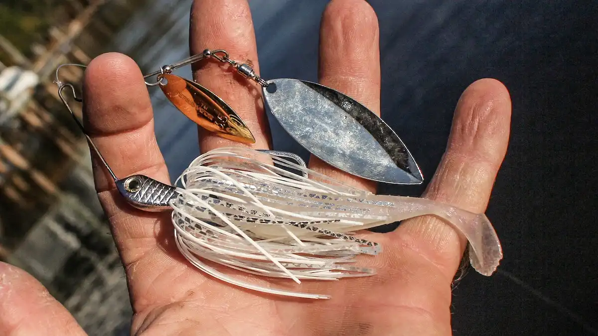 spinnerbait fishing lure