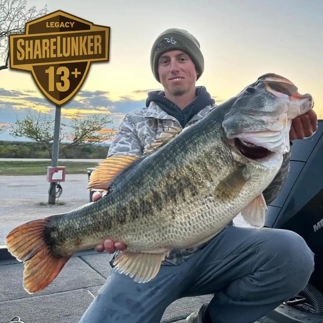 15.82-Pound Lunker Bass Caught from O.H. Ivie - Wired2Fish