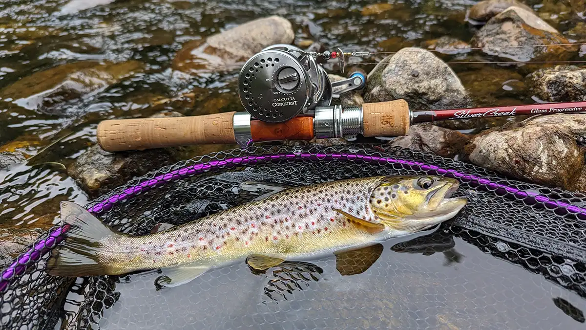 REEL RIGGING  Trouts Fly Fishing