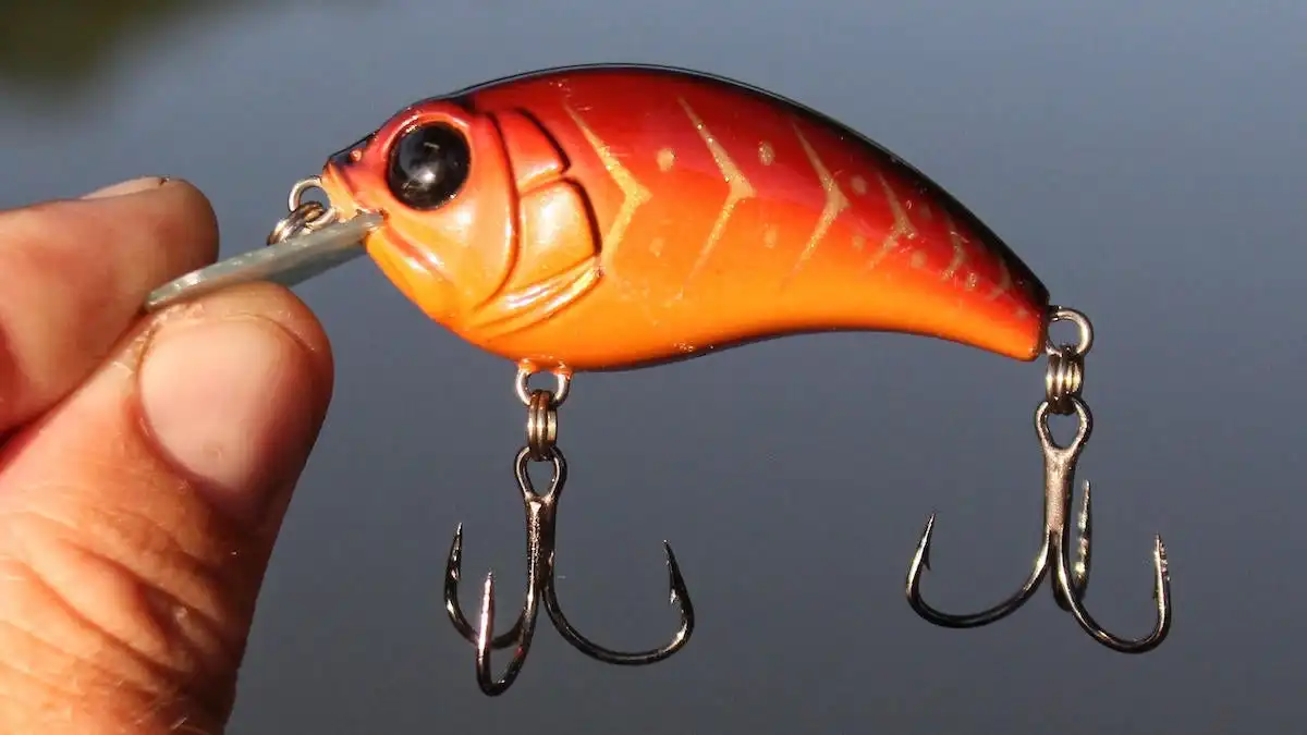 What Lures We're Fishing in March 2024 - Wired2Fish