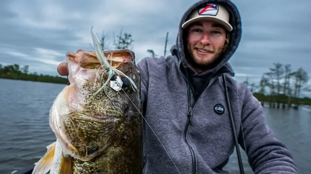 When to Fish Downsized ChatterBaits for Bass - Wired2Fish