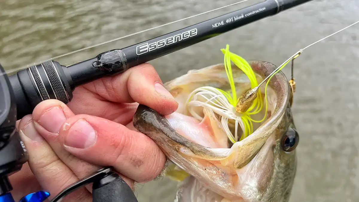 Ark Essence Rod Review - Wired2Fish