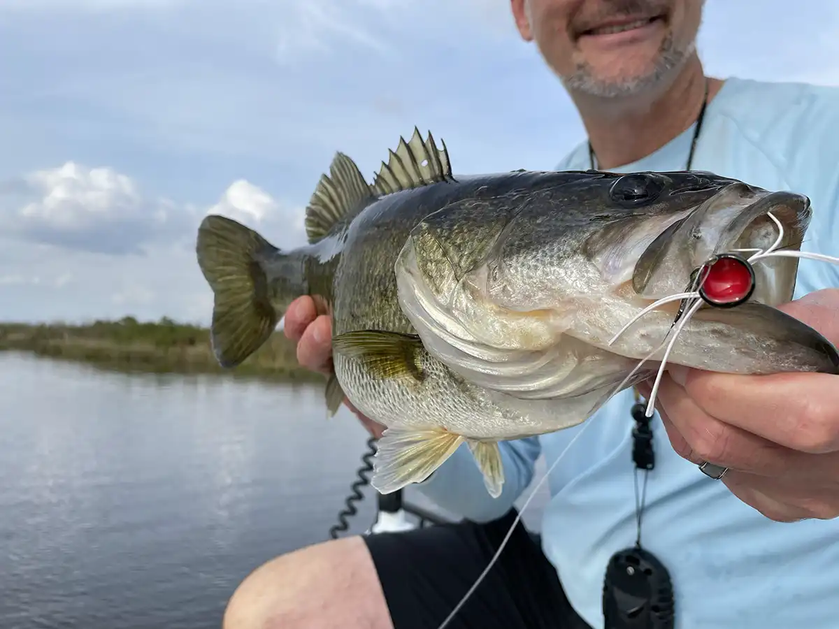 Fly Fishing for Largemouth Bass - Wired2Fish