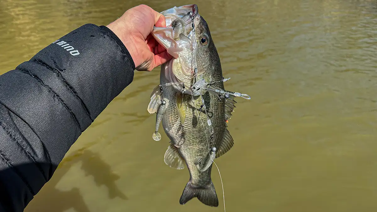 My Early Experience Fishing with Umbrella Rigs for Bass - Wired2Fish