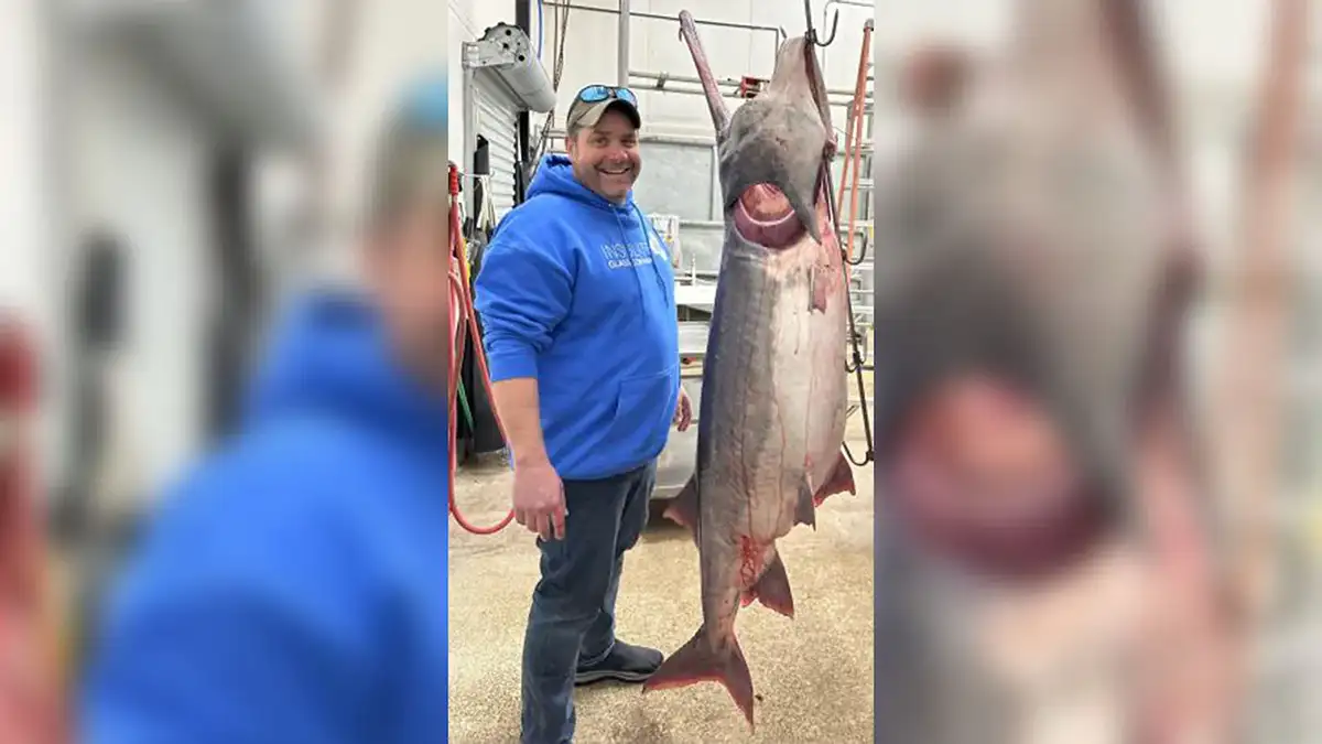 Fisher Catches Record-Breaking Paddlefish