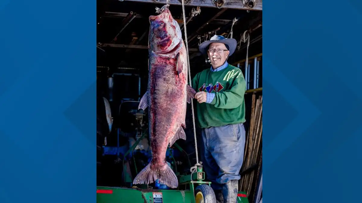 Missouri Fisherman Reels in World Record Bighead Carp