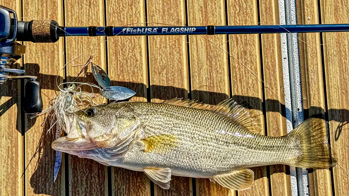 FishUSA Flagship Bass Casting Rods Review - Wired2Fish