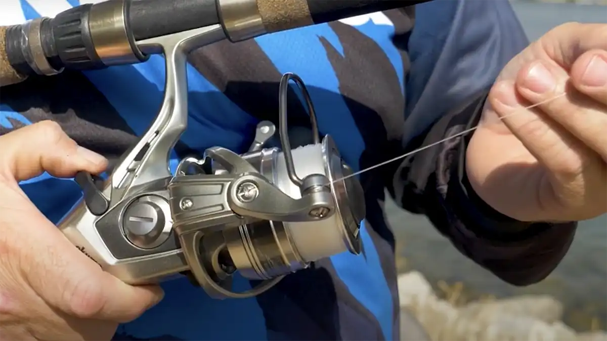 Spinning Reels for Catfish 