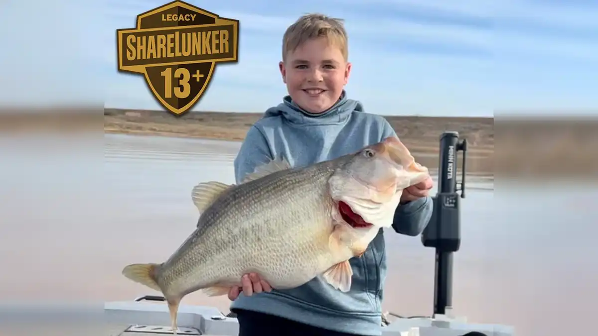 11-Year Old Catches a 13-Pound ShareLunker Bass - Wired2Fish
