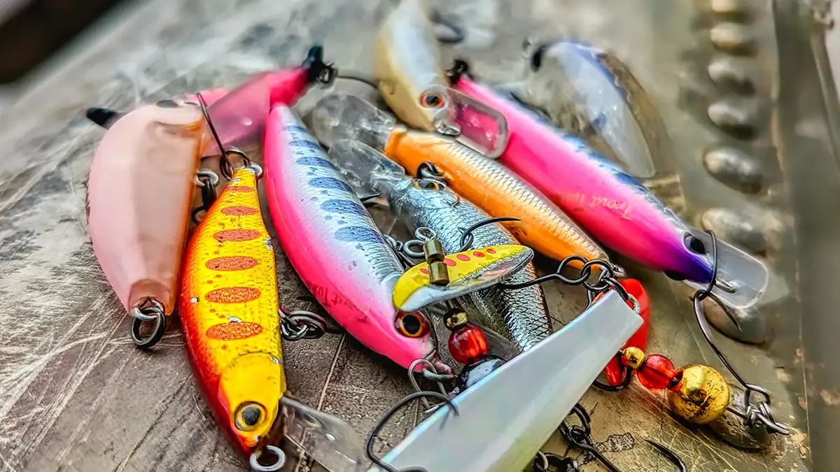 BFS Fishing – A Complete Guide to Bait Finesse System - FishUSA