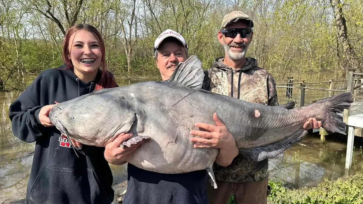 Teen Catches 101-Pound State Record Catfish - Wired2Fish