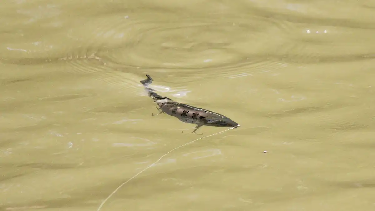 travel fishing rod anaconda