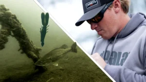 Connell’s Guide to Pitching Stumps for Big Springtime Bass