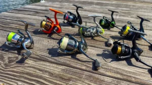 Best Spinning Reels for 2024