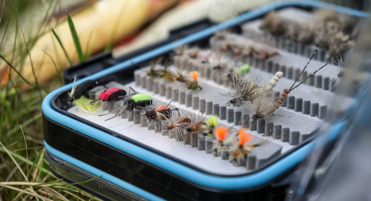 dry flies for trout