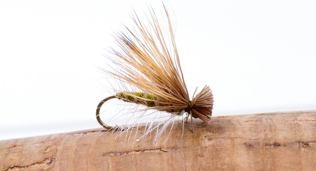 elk hair caddis