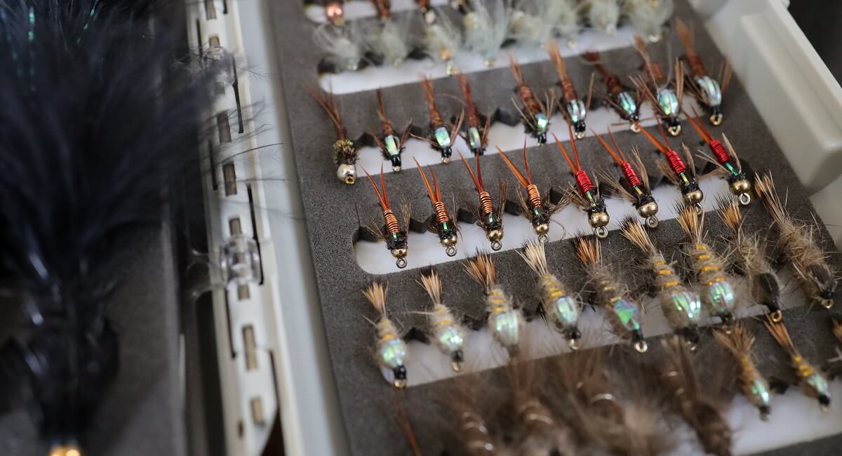 nymphs in a fly box