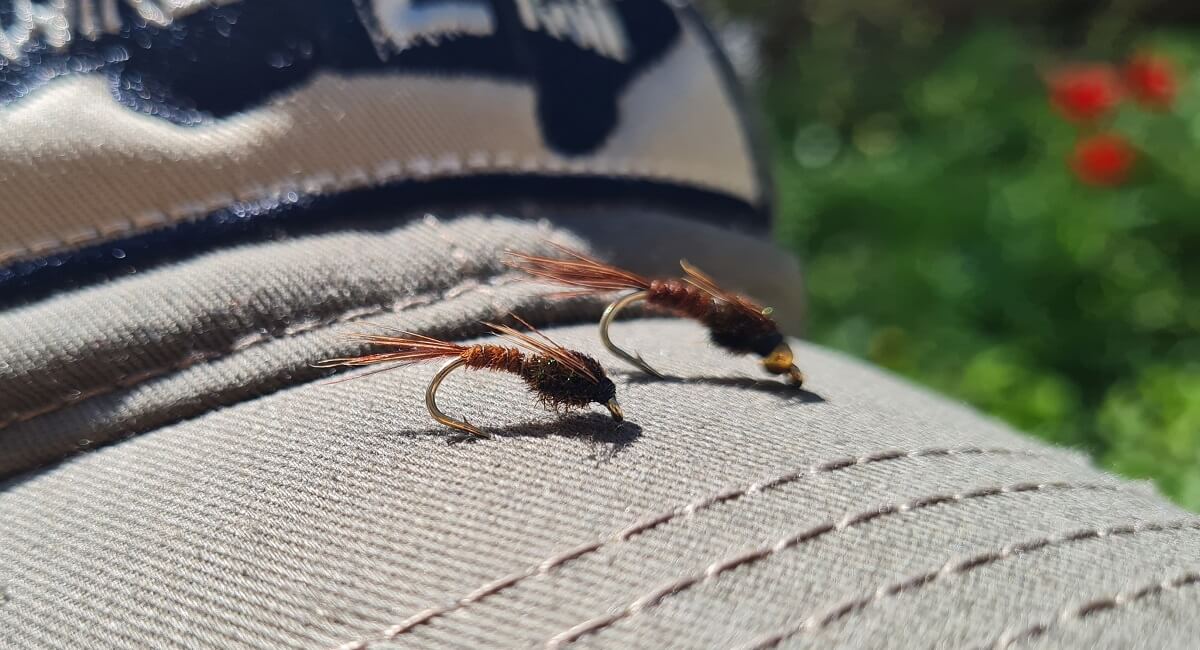 pheasant tail nymphs