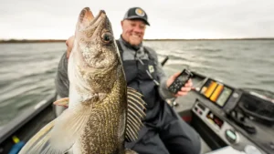 Find and Catch More Walleyes With Modern Sonar