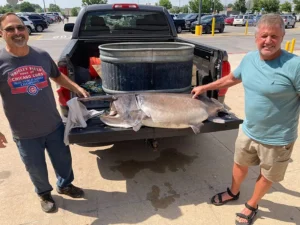Arkansas Angler Accidentally Hooks Record Paddlefish