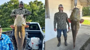 Man Catches 95-Pound Record Breaking Flathead Catfish