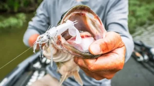 How to Simplify Your Tackle With Plastic Crawfish Lures