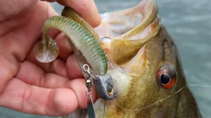 Underspins for Consistent Bass and Panfish Success