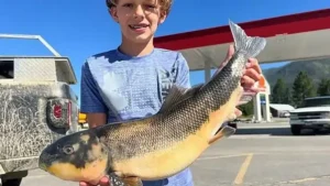 12 Year Old Catches Record Fish from Northwestern Montana Reservoir